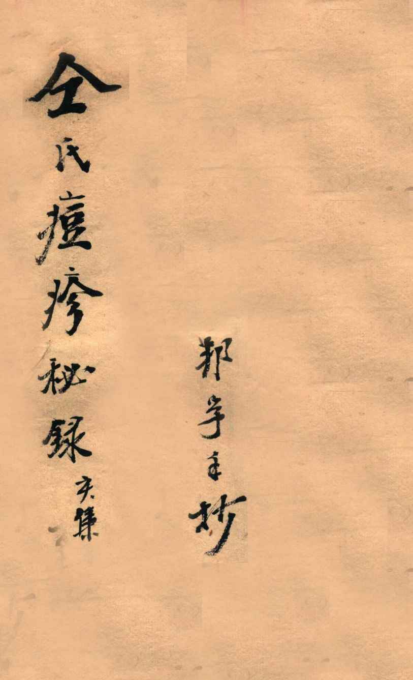 仝氏家藏痘疹秘录  亥